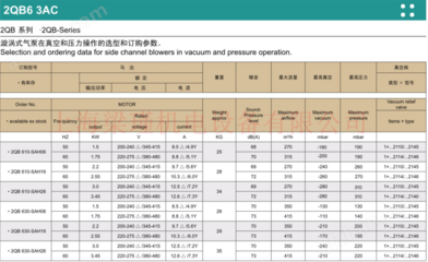 2QB610-SAH26-旋渦氣泵,環(huán)形高壓風(fēng)機(jī)工廠現(xiàn)貨